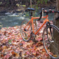 Noseless bike seat gravel bike song: 'The leaves have fallen all around, time I was on my way. Thanks to you I'm much obliged