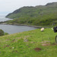 Noseless bike seat  makes a tour of Scotland a comfortable and safe ride. Our prostate safe bike seat produces dream tours!